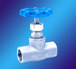 Globe Valve (008)