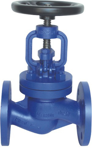 DIN Globe Valve