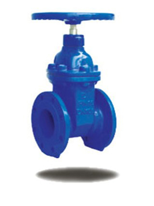 Iron Gate Valve