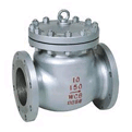 Swing Check Valve (LIFC3001)