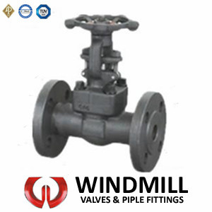 API Forged Steel Flanged Ends Gate Valve (Z41H)
