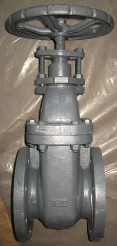 API Non Rising Stem Gate Valve-125lb