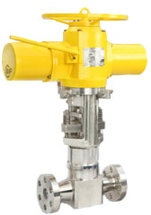 Rotary-Shaft Control Valve