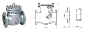 Class 150~1500 Swing Check Valve