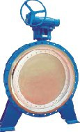 Butterfly Valve
