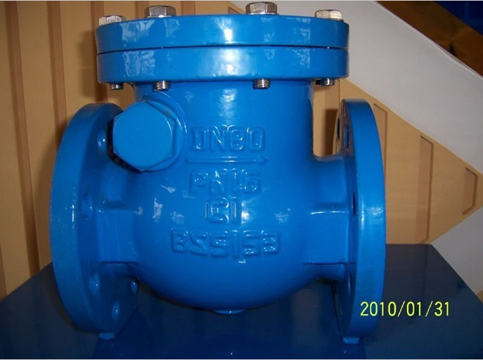 BS 5153 Swing Check Valve