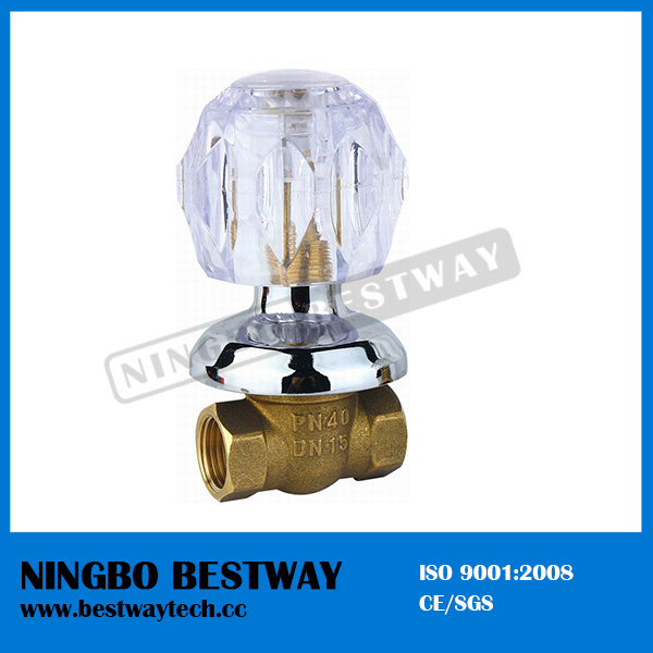 Built-in Valve for Middle East Price (BW-S16)
