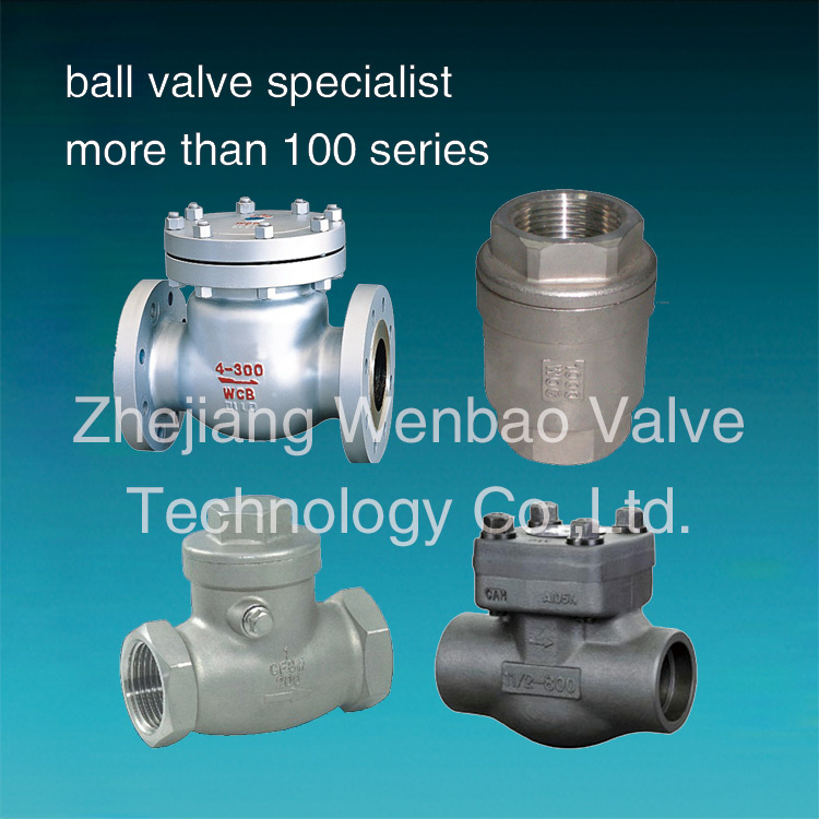 Stainless Steel Spring Loaded Check Valve / Non Return Valve / Swing Check Valve Pn16