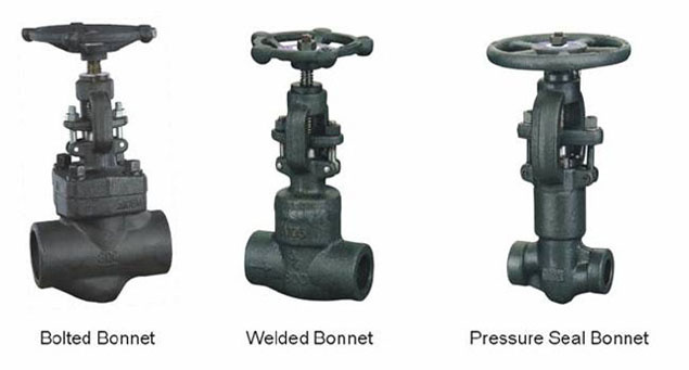 Forged Steel Globe Valves