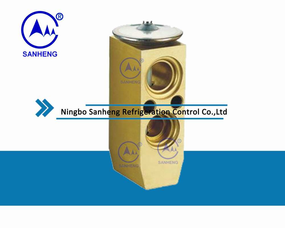 Expansion Valve/Block Valve (SH207-2)