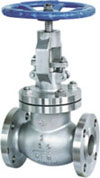 API Globe Valve