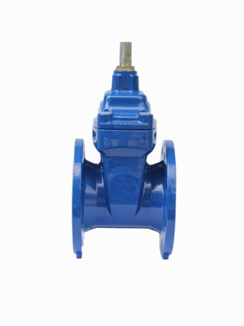 Resilient Seated Gate Valves