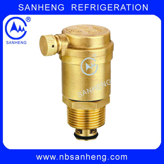 Threaded Brass Auto Exhaust Valve