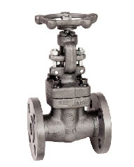 Flange End Forged Steel Globe Valve