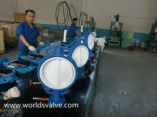 PTFE Coated Butterfly Valve