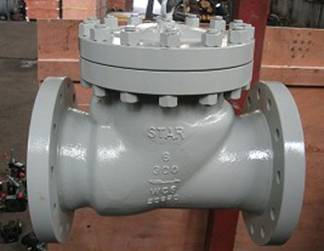 API6D Full Bore Check Valve (H44H)