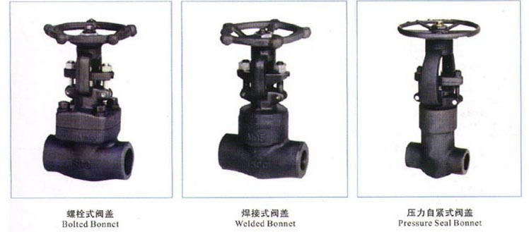 Forged Steel Gate Valve