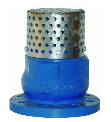 Cast Iron Foot Valve (H42X)