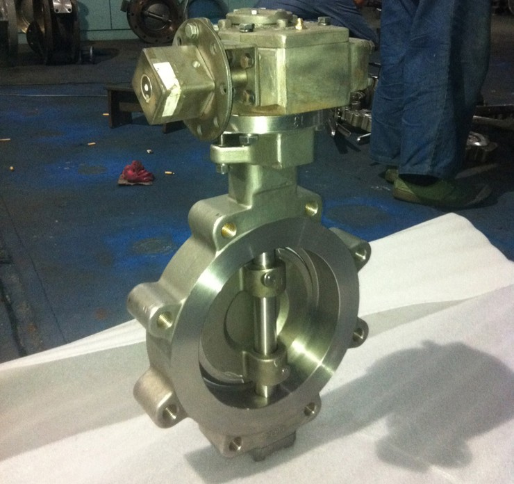 Stainless Steel Worm Gear Wafer Butterfly Valve