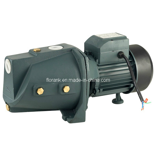 Self-Priming Pump with CE Certificate (JSW)