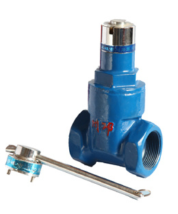 Magnetic Resilient Seat Inside Thread Gate Valve (CFZ15X-10/16Q)