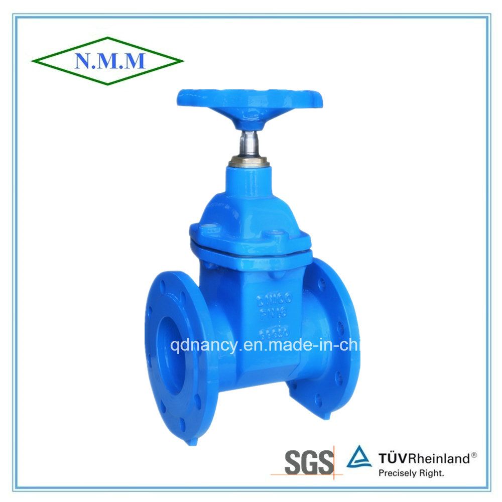 BS5163 Cast Iron Rubber Wedge Non-Rising Stem Gate Valve