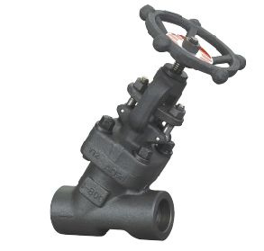 Y-Type Globe Valve