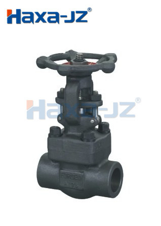 Forged Steel Globe Valve