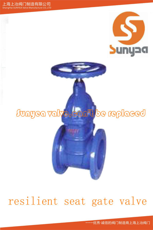 DIN3352-F4 Resilient Seat Gate Valve (Z45X)