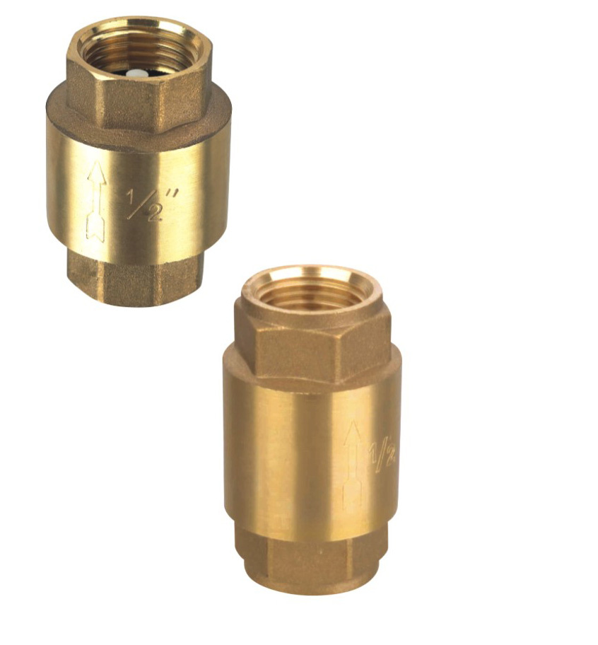 Brass Spring Check Valve (AMT-8001)
