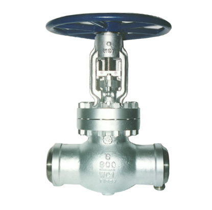 Class 900 Globe Valve