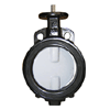 Butterfly Valve (3)