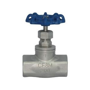 Stainless Steel Threaded End Globe Valve