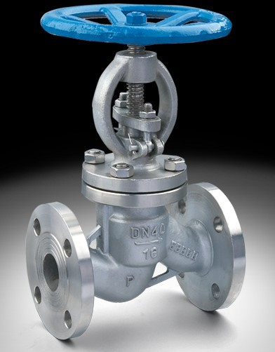 Cast Steel Flanged Globe Valve RS