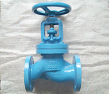 Globe Valve - DIN Standard