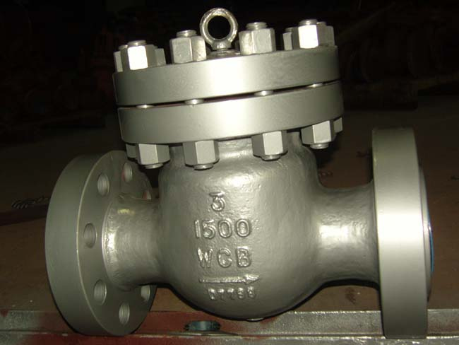 Swing Check Valve