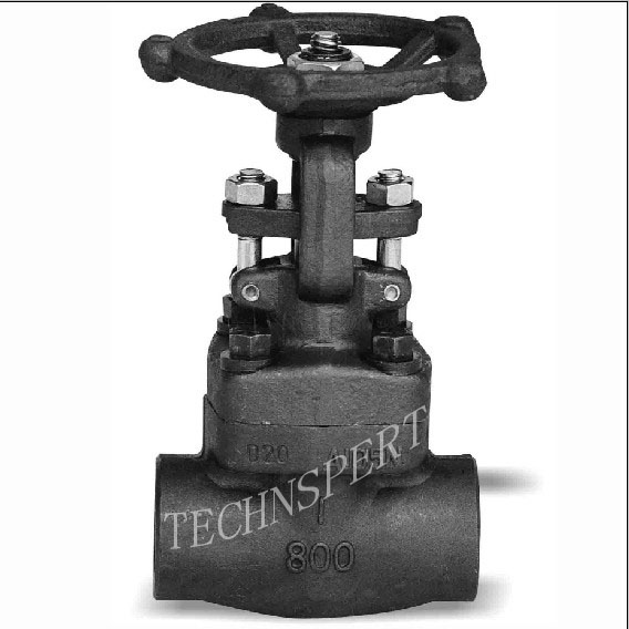 Forged Steel Gate Valve