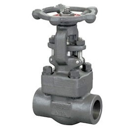 Forged Steel Gate Valve