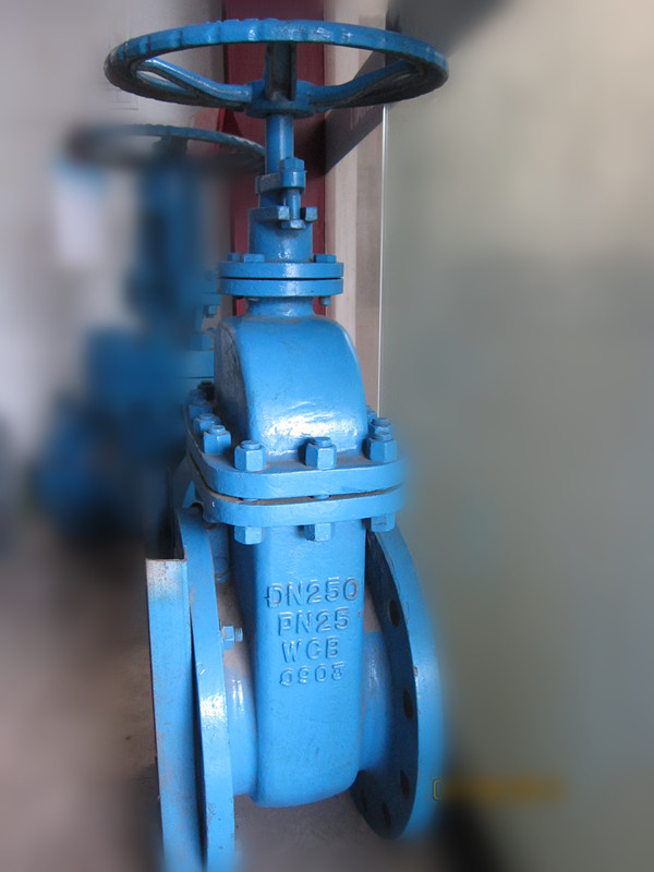 Wcb DIN Gate Valve (Z40/Z45)