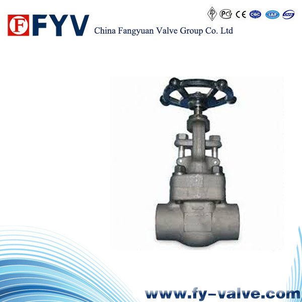ASTM Manual Forged Steel Globe Valve