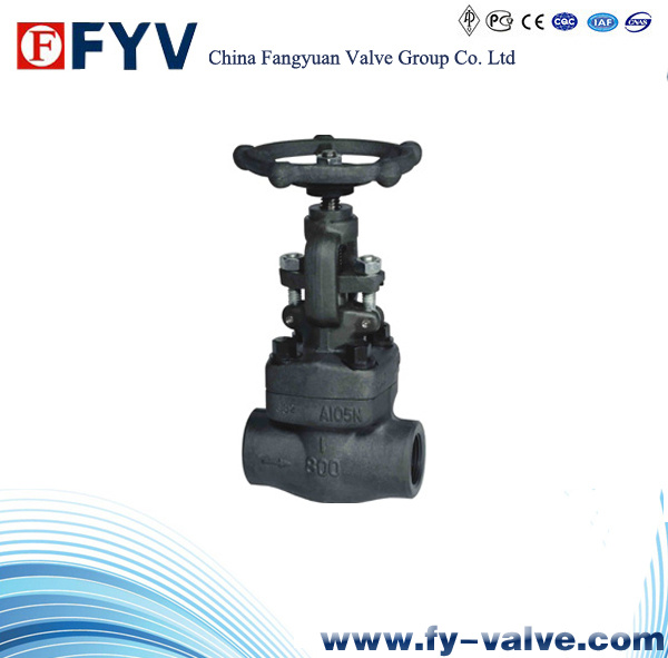 ANSI Forged Steel Gate Globe Check Valve