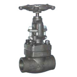 Female Threaded and Socket Welded Globe Valves