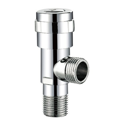 Valve (D306)