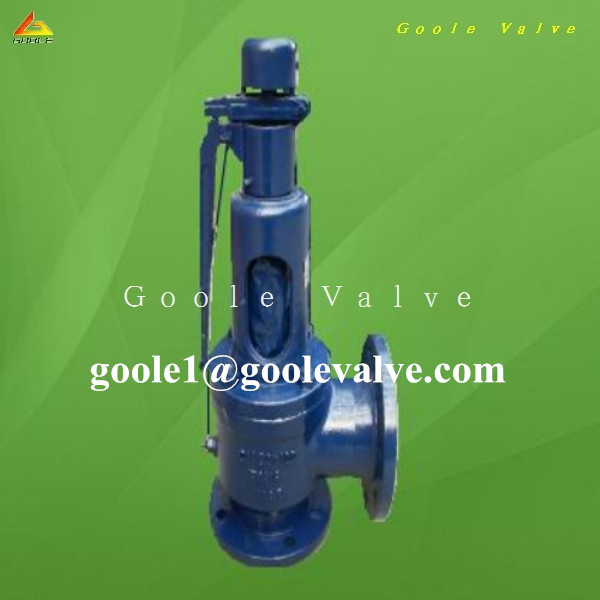 Lesser Safety Valve (GA900)