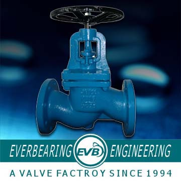 Globe Valve (GBV-005-G)