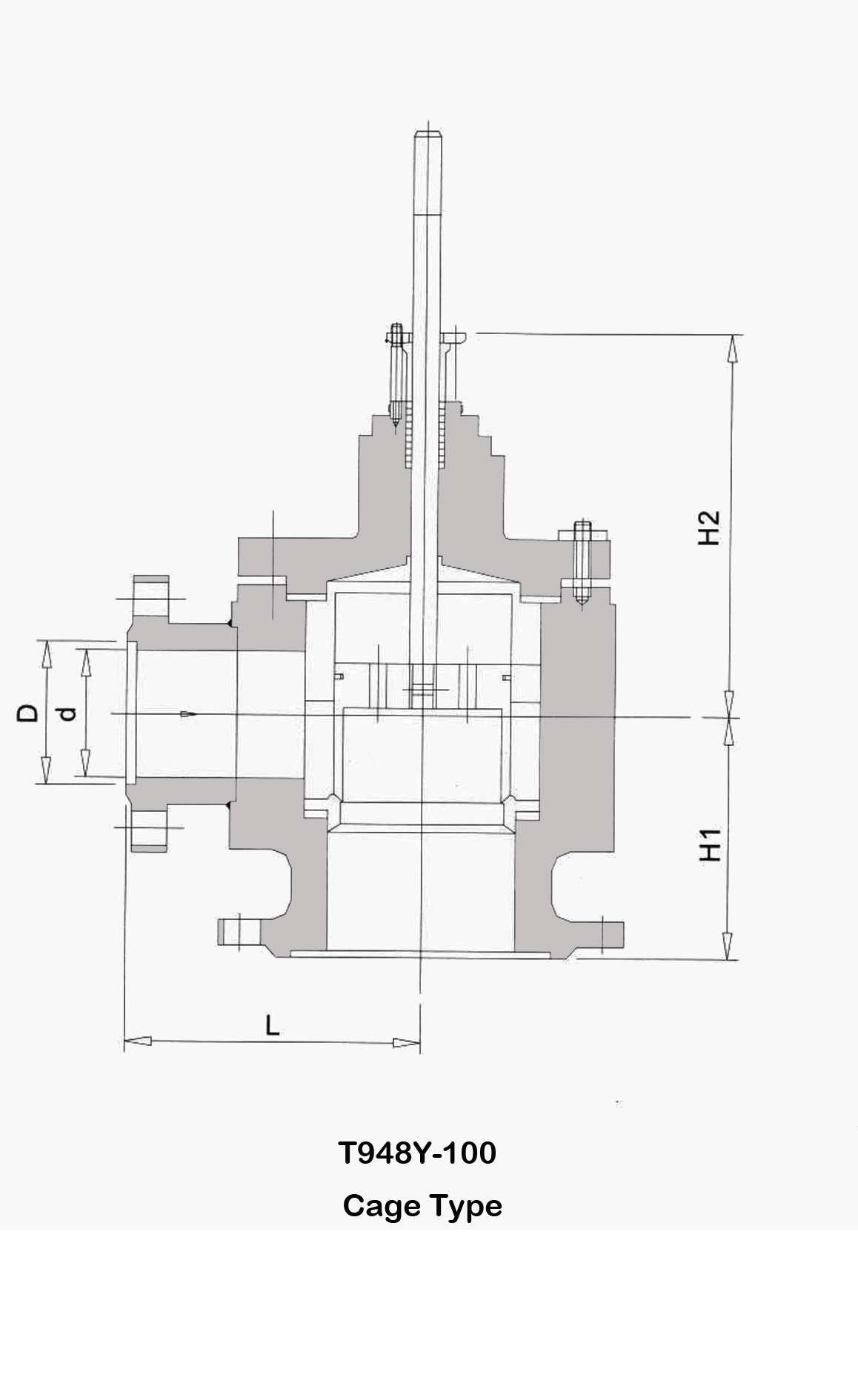 T948y-100 Cage Type Control Valve