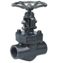 Forged Steel Globe Valve
