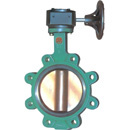 Soft Seated Butterfly Valve