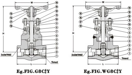 Gate Valve 800Lb