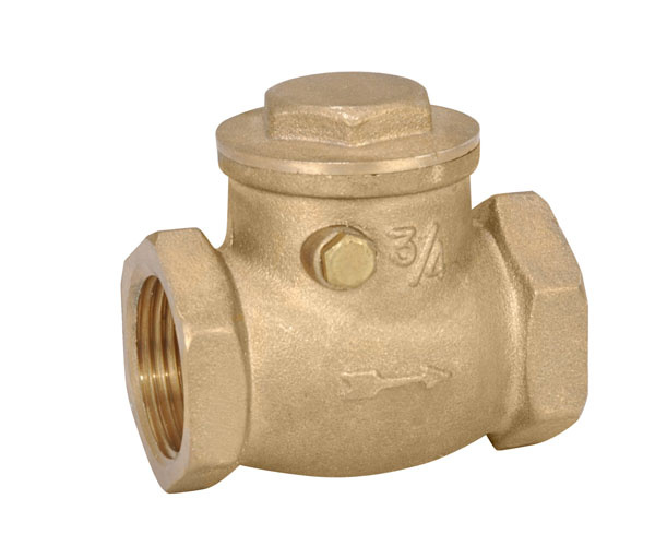 Check Valve (TD-F6005)